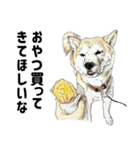 ここ柴スタンプその7（個別スタンプ：23）