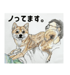 ここ柴スタンプその7（個別スタンプ：26）