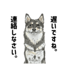 ここ柴スタンプその7（個別スタンプ：27）