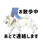 ここ柴スタンプその7（個別スタンプ：28）