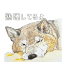 ここ柴スタンプその7（個別スタンプ：32）