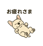 フレンチブルドッグのターボくん（個別スタンプ：3）