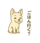 フレンチブルドッグのターボくん（個別スタンプ：6）
