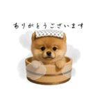湯けむりわんこ♨️文字ありver.（個別スタンプ：6）