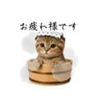 湯けむりにゃんこ♨️文字ありver.（個別スタンプ：1）