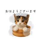 湯けむりにゃんこ♨️文字ありver.（個別スタンプ：2）