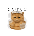 湯けむりにゃんこ♨️文字ありver.（個別スタンプ：3）