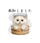 湯けむりにゃんこ♨️文字ありver.（個別スタンプ：5）