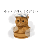 湯けむりにゃんこ♨️文字ありver.（個別スタンプ：8）