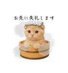 湯けむりにゃんこ♨️文字ありver.（個別スタンプ：9）