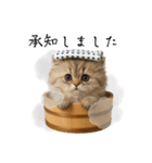 湯けむりにゃんこ♨️文字ありver.（個別スタンプ：13）