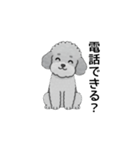 家族で使いやすいトイプードル（個別スタンプ：5）