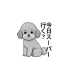 家族で使いやすいトイプードル（個別スタンプ：6）