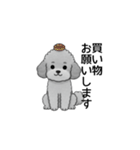 家族で使いやすいトイプードル（個別スタンプ：7）