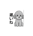 家族で使いやすいトイプードル（個別スタンプ：12）