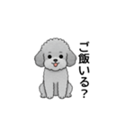 家族で使いやすいトイプードル（個別スタンプ：19）