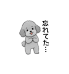 家族で使いやすいトイプードル（個別スタンプ：22）