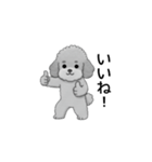 家族で使いやすいトイプードル（個別スタンプ：24）