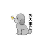 家族で使いやすいトイプードル（個別スタンプ：27）