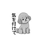 家族で使いやすいトイプードル（個別スタンプ：29）