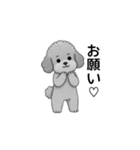 家族で使いやすいトイプードル（個別スタンプ：32）
