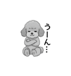 家族で使いやすいトイプードル（個別スタンプ：37）