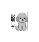家族で使いやすいトイプードル（個別スタンプ：39）