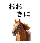関西弁で競馬【BIG】（個別スタンプ：3）