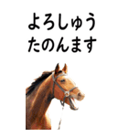 関西弁で競馬【BIG】（個別スタンプ：5）