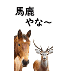 関西弁で競馬【BIG】（個別スタンプ：12）