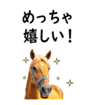 関西弁で競馬【BIG】（個別スタンプ：15）