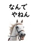 関西弁で競馬【BIG】（個別スタンプ：23）
