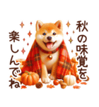 よく使う言葉【柴犬の秋】（個別スタンプ：12）