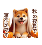 よく使う言葉【柴犬の秋】（個別スタンプ：23）