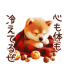 よく使う言葉【柴犬の秋】（個別スタンプ：26）