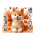 よく使う言葉【柴犬の秋】（個別スタンプ：30）