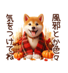 よく使う言葉【柴犬の秋】（個別スタンプ：32）