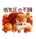 よく使う言葉【柴犬の秋】（個別スタンプ：33）