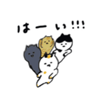 日本猫のシンプルよく使う日常会話（個別スタンプ：13）