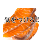 ハイテンションなサーモン！（個別スタンプ：11）