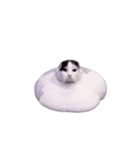 動く！踊る猫ミーム(パート29)（個別スタンプ：24）