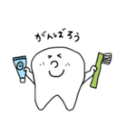 歯ぴぴ（個別スタンプ：24）