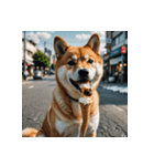 柴犬の新日常1（個別スタンプ：1）