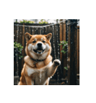 柴犬の新日常1（個別スタンプ：6）