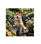 柴犬の新日常1（個別スタンプ：9）