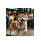 柴犬の新日常1（個別スタンプ：10）