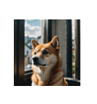 柴犬の新日常1（個別スタンプ：13）