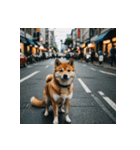 柴犬の新日常1（個別スタンプ：18）