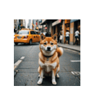 柴犬の新日常1（個別スタンプ：20）