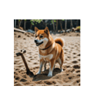 柴犬の新日常1（個別スタンプ：21）